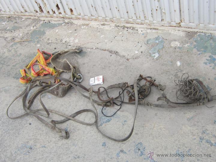 Antig&uuml;edades: BOCAO DE CABALLO ANTIGUO Y  CORREAS - Foto 3