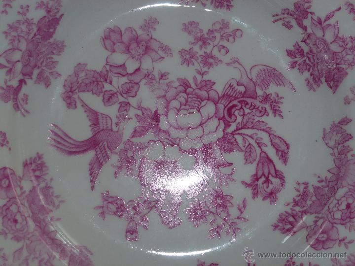 Antig&uuml;edades: Bonito plato - Foto 2