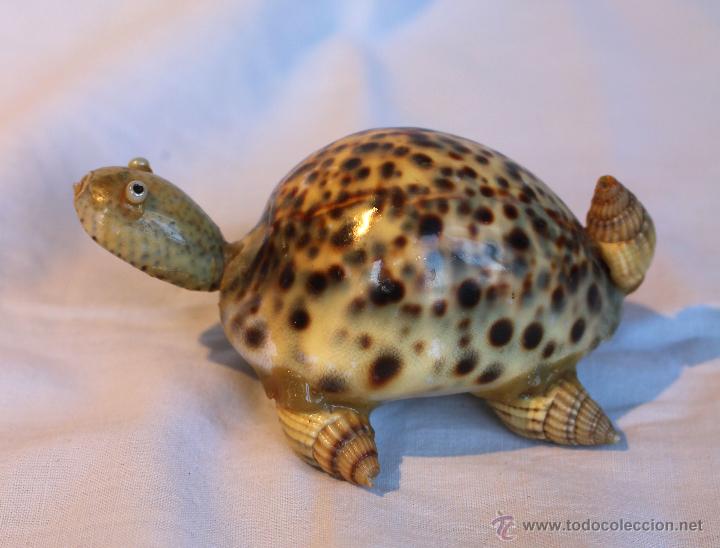 Antig&uuml;edades: TORTUGA DE CARACOLAS - Foto 1