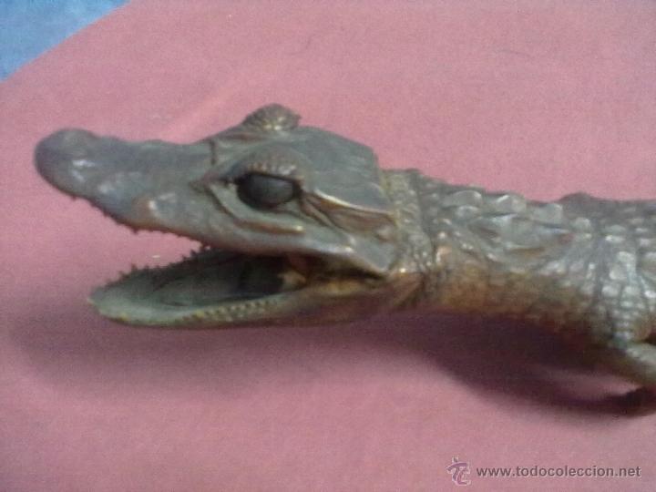 Antig&uuml;edades: CAIMAN DISECADO - Foto 2