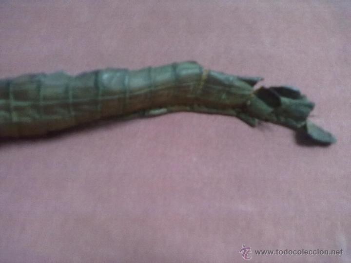 Antig&uuml;edades: CAIMAN DISECADO - Foto 5