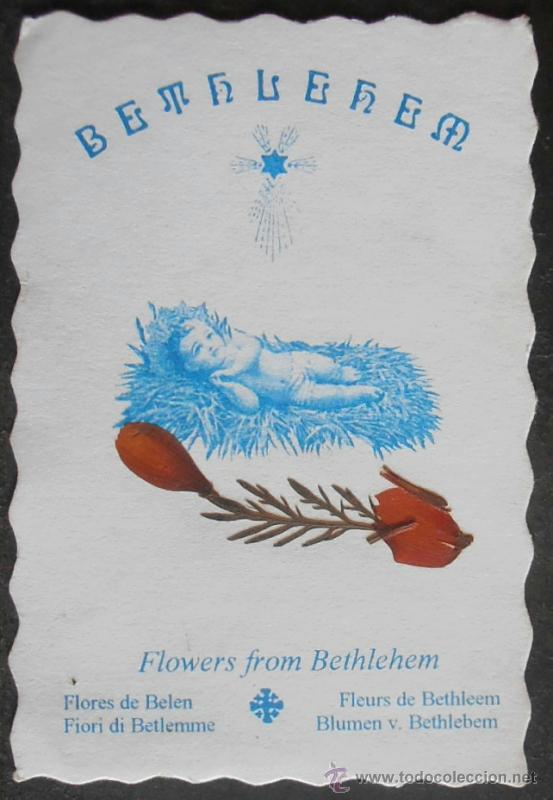 Antiquit&auml;ten: (1132)ESTAMPA 12X7 CM APROX,FLORES DE BELEN,FLOWERS FROM BETHLEHEM,CONSERVACION,VER FOTOS