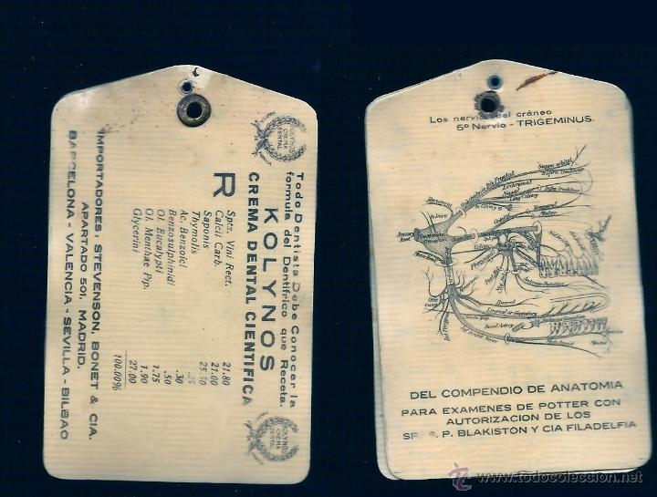 Antig&uuml;edades: 0799T - KOLYNOS - ANTIGUO ANOTADOR EN CELULOIDE -PUBLICITARIO-IMPORTADORES STEVENSON, BONET & CIA