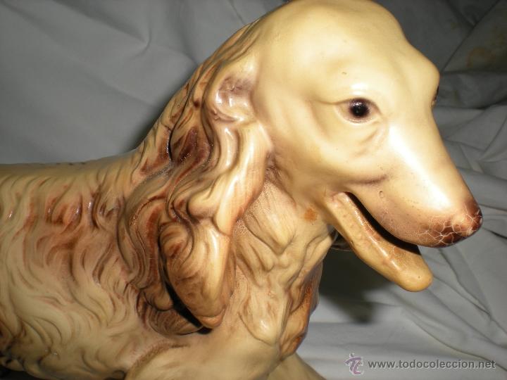 Antig&uuml;edades: PERRO TAMA&Ntilde;O GRANDE - Foto 2
