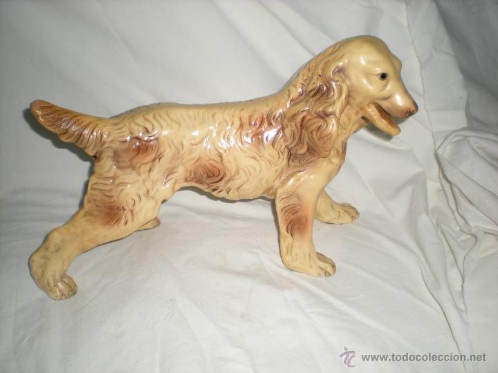 Antig&uuml;edades: PERRO TAMA&Ntilde;O GRANDE - Foto 8