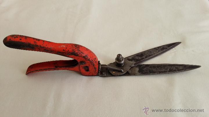 Antig&uuml;edades: TIJERAS DE ESQUILAR. - Foto 1