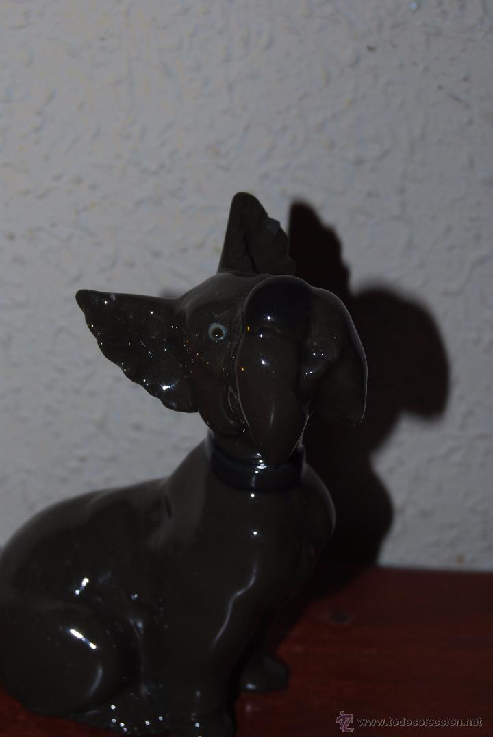 Antig&uuml;edades: PERRO DE PORCELANA NAO - LLADR&Oacute; - Foto 2