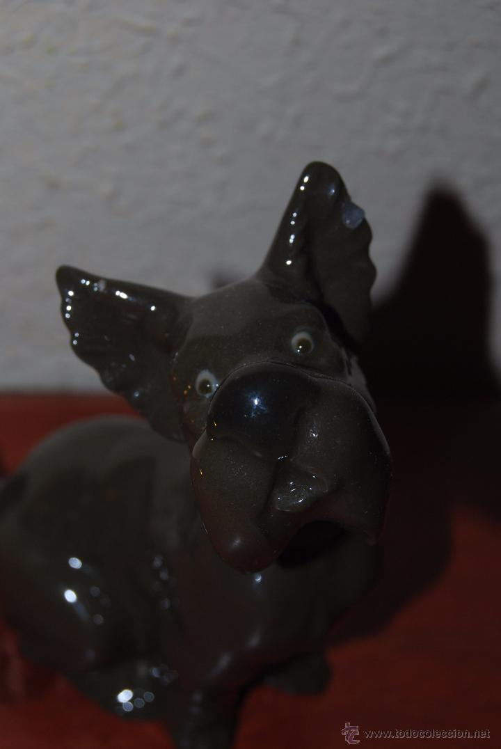 Antig&uuml;edades: PERRO DE PORCELANA NAO - LLADR&Oacute; - Foto 6