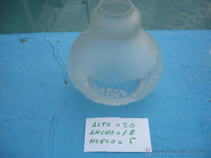 Antig&uuml;edades: Tulipa - Foto 1