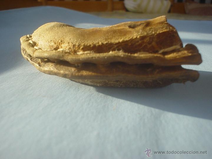 Antig&uuml;edades: DEDIL CUERO DE SEGADOR - DEDAL - Foto 3