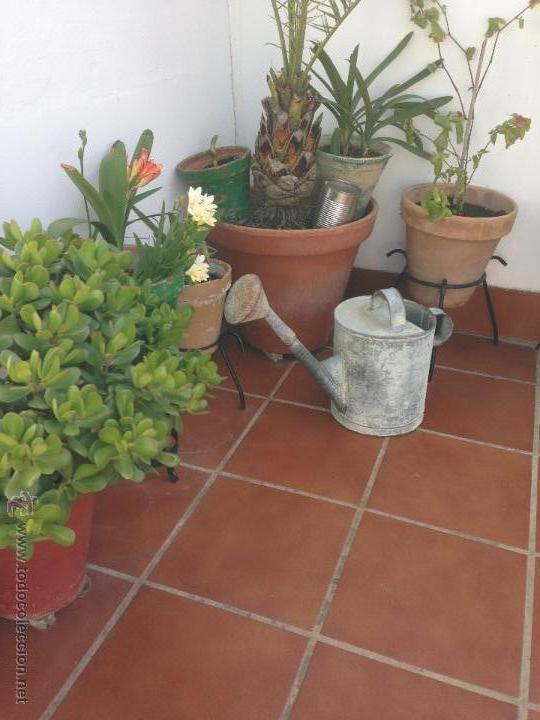 Antig&uuml;edades: ANTIGUA REGADERA A&Ntilde;OS 40 - Foto 4