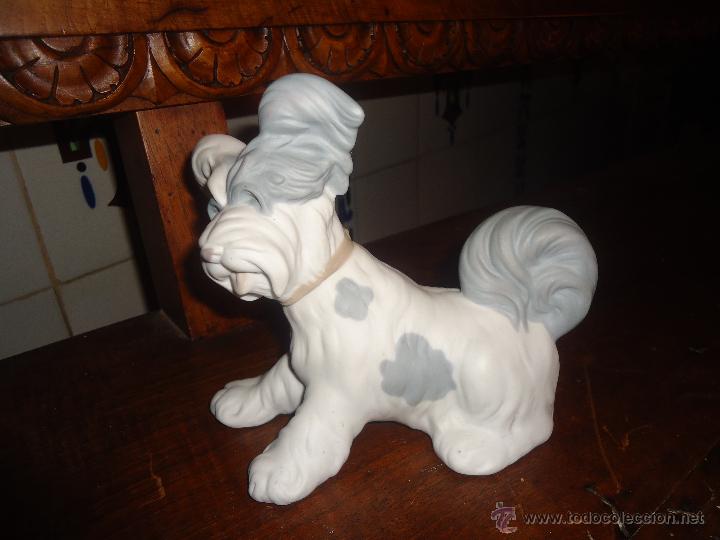 Antig&uuml;edades: PERRO PORCELANA LLADRO - Foto 2