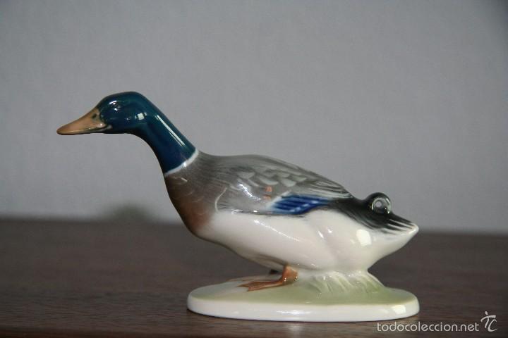 Antig&uuml;edades: PATO - Foto 1