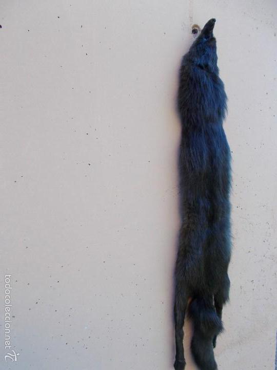 Antigüedades: Estola negra de piel de marta muy bien conservada - Foto 1 - 56675599
