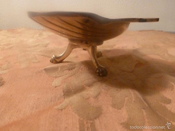 Antig&uuml;edades: concha en bronce - Foto 5