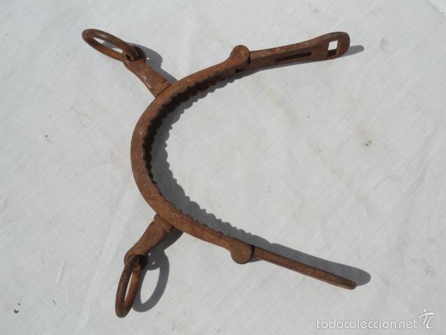Antig&uuml;edades: BOCADO BOZAL PARA EQUINOS. - Foto 2