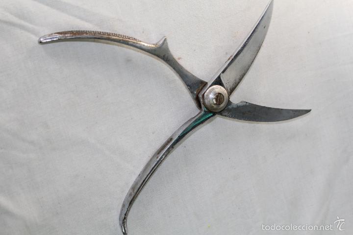 Antig&uuml;edades: tijeras para marisco plateadas - Foto 4