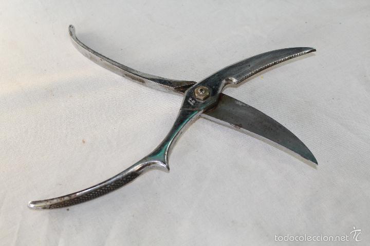 Antig&uuml;edades: tijeras para marisco plateadas - Foto 5