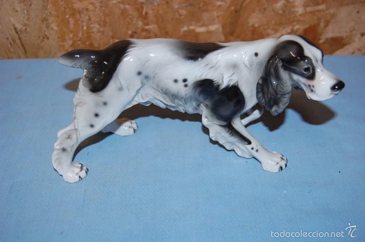 Antig&uuml;edades: PERRO EN PORCELANA - Foto 1