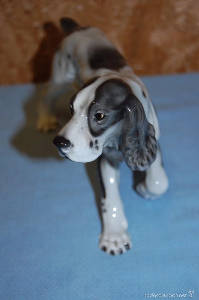 Antig&uuml;edades: PERRO EN PORCELANA - Foto 4