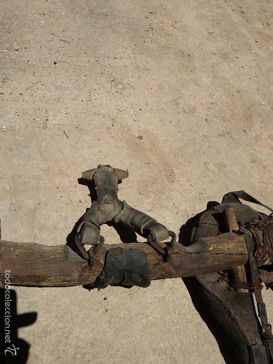 Antig&uuml;edades: Yugo antiguo. - Foto 8
