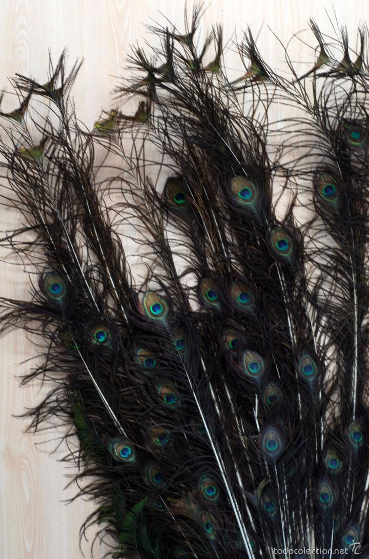 Antig&uuml;edades: Plumas cola pavo real en base madera - Foto 2