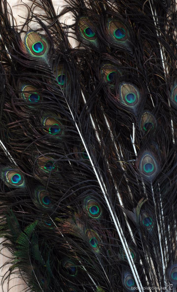 Antig&uuml;edades: Plumas cola pavo real en base madera - Foto 5