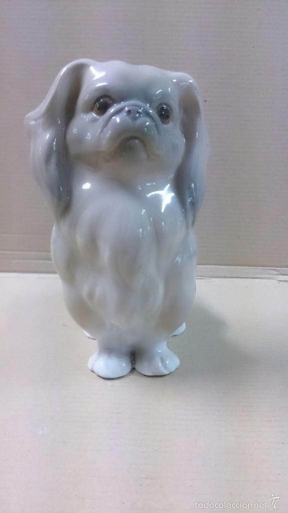 Antig&uuml;edades: Figura de Lladr&oacute; de perro - Foto 1