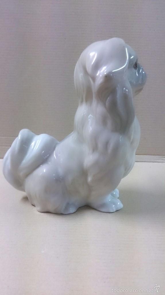 Antig&uuml;edades: Figura de Lladr&oacute; de perro - Foto 3