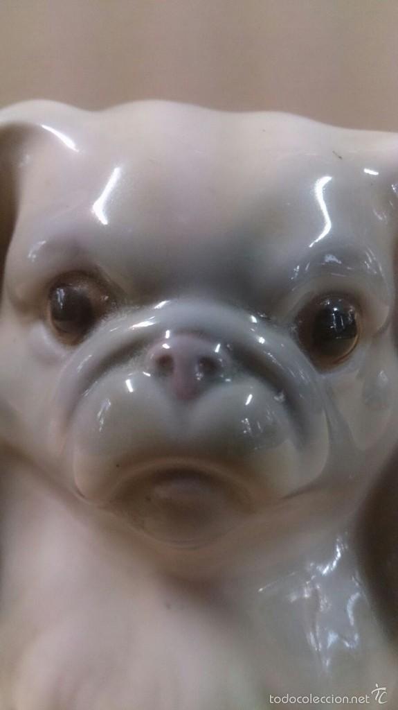 Antig&uuml;edades: Figura de Lladr&oacute; de perro - Foto 7
