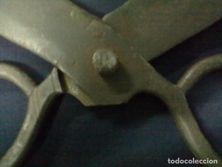 Antig&uuml;edades: TIJERAS ESQUILAR DE HIERRO - Foto 4
