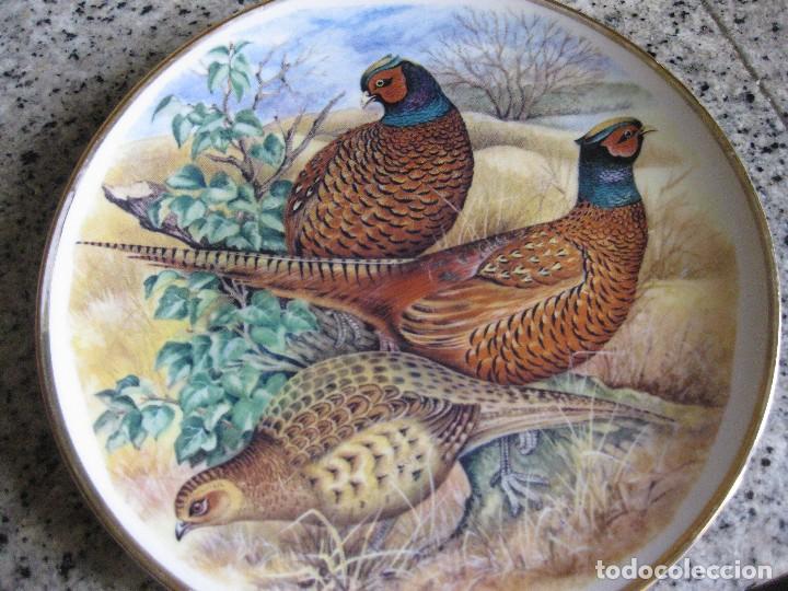 Antig&uuml;edades: plato de porcelana p&aacute;jaros - Foto 1