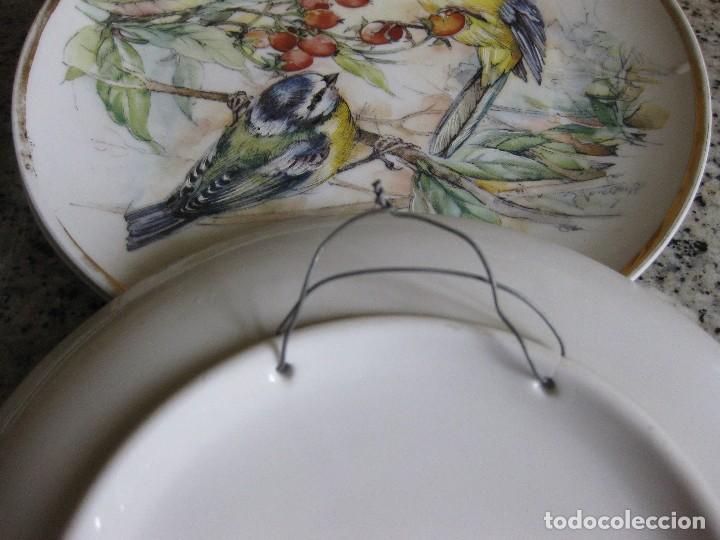 Antig&uuml;edades: plato de porcelana p&aacute;jaros - Foto 2