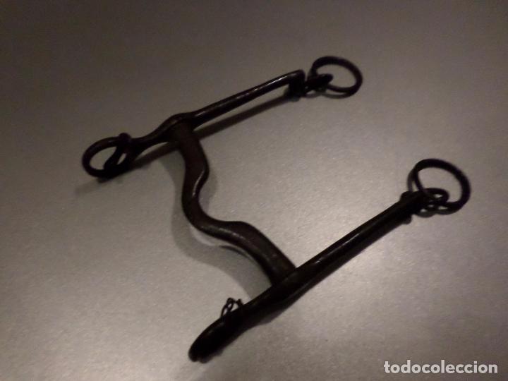 Antig&uuml;edades: BOCADO DE CABALLO - Foto 1