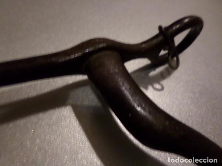 Antig&uuml;edades: BOCADO DE CABALLO - Foto 7