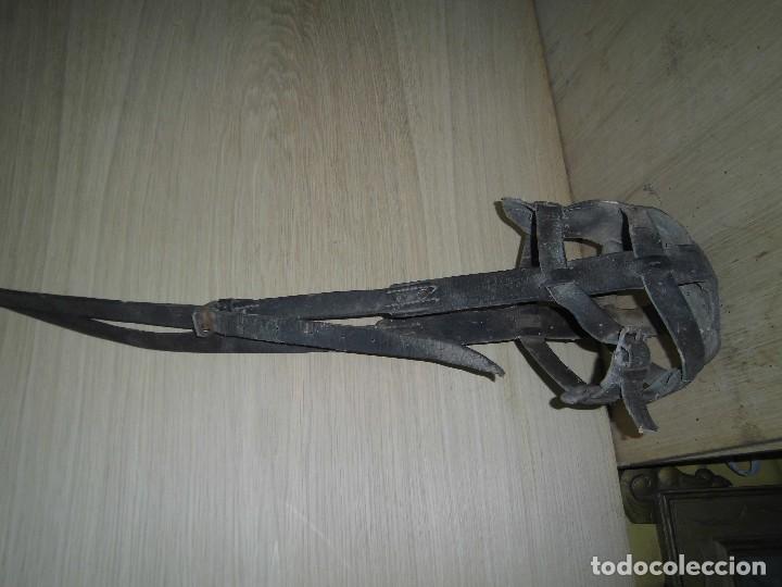 Antig&uuml;edades: bozal antiguo para mula - Foto 1