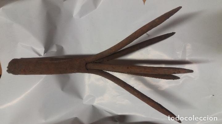 Antig&uuml;edades: curioso apero agricola - Foto 1