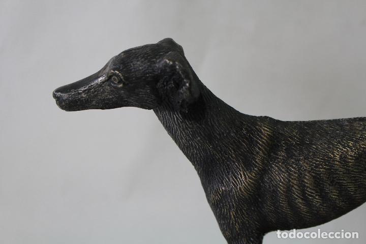 Antig&uuml;edades: galgo en metal con peana de madera - Foto 8
