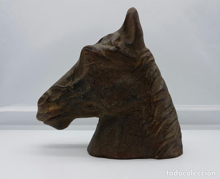 Antigüedades: Busto antiguo de caballo pura sangre en hierro colado . - Foto 1 - 74746067