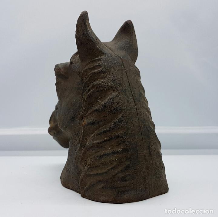 Antigüedades: Busto antiguo de caballo pura sangre en hierro colado . - Foto 2 - 74746067
