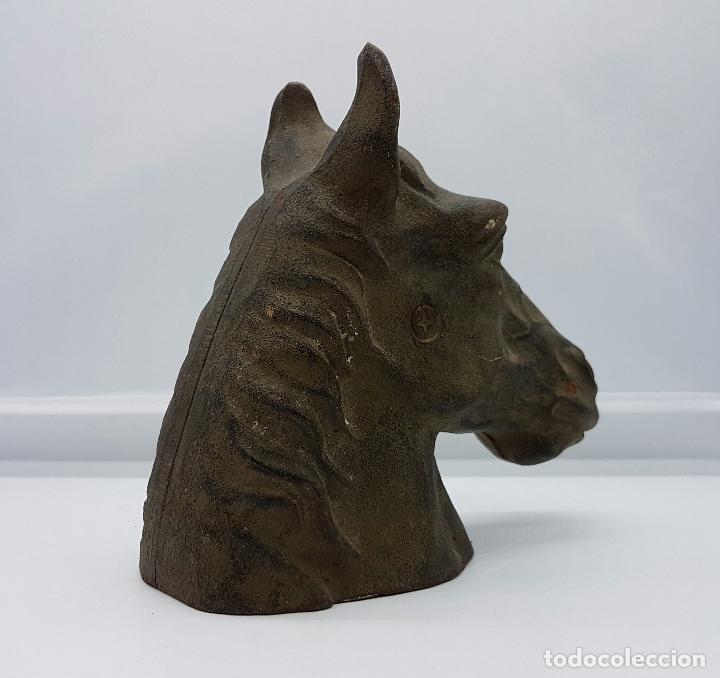 Antigüedades: Busto antiguo de caballo pura sangre en hierro colado . - Foto 3 - 74746067