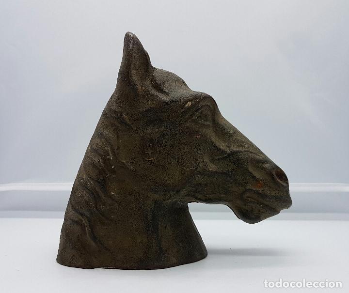 Antigüedades: Busto antiguo de caballo pura sangre en hierro colado . - Foto 4 - 74746067