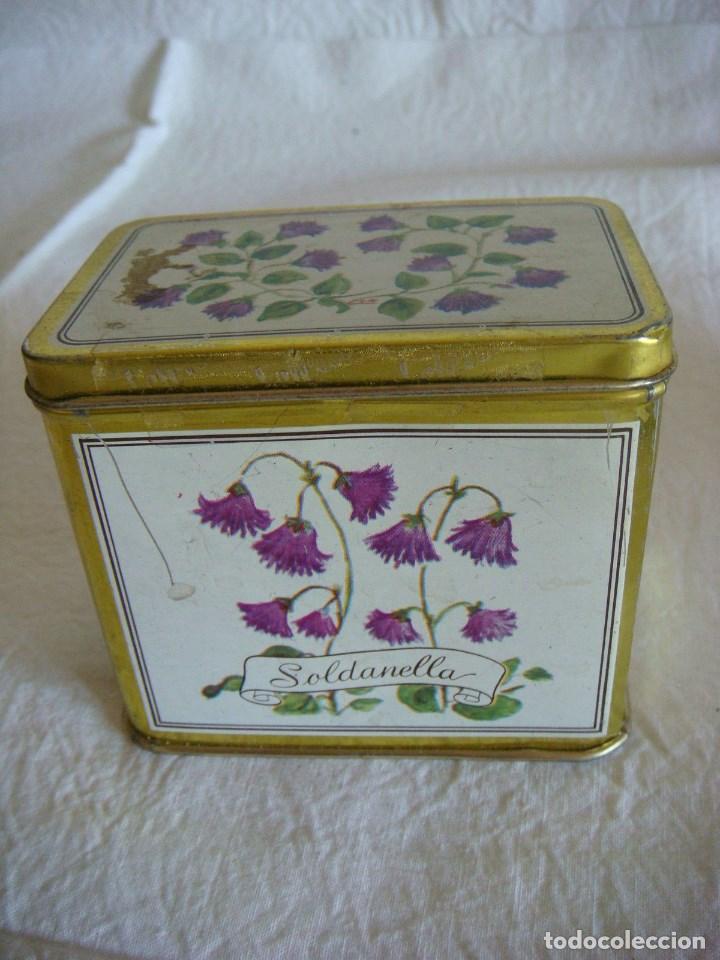 Antig&uuml;edades: CAJA DE CHAPA SOLDANELLA - Foto 1