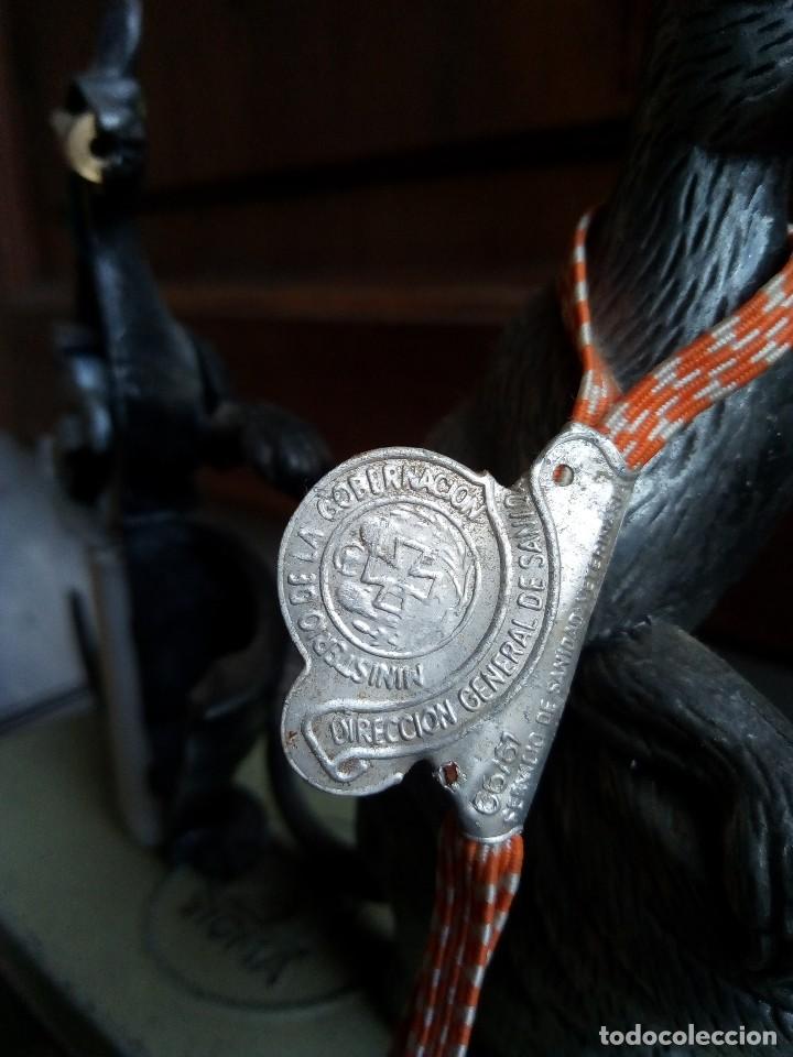 Antig&uuml;edades: SALTO EN LA EVOLUCION - LUI - Foto 2