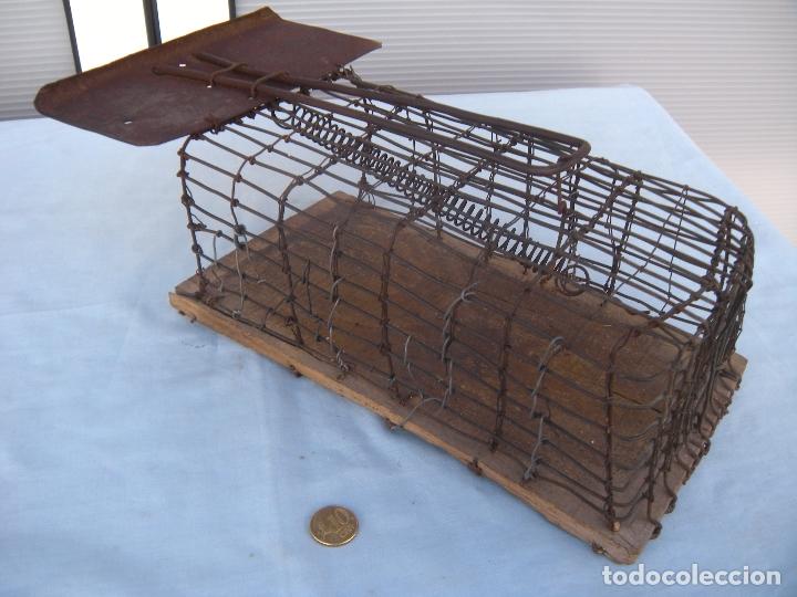 Antig&uuml;edades: JAULA TRAMPA - Foto 4