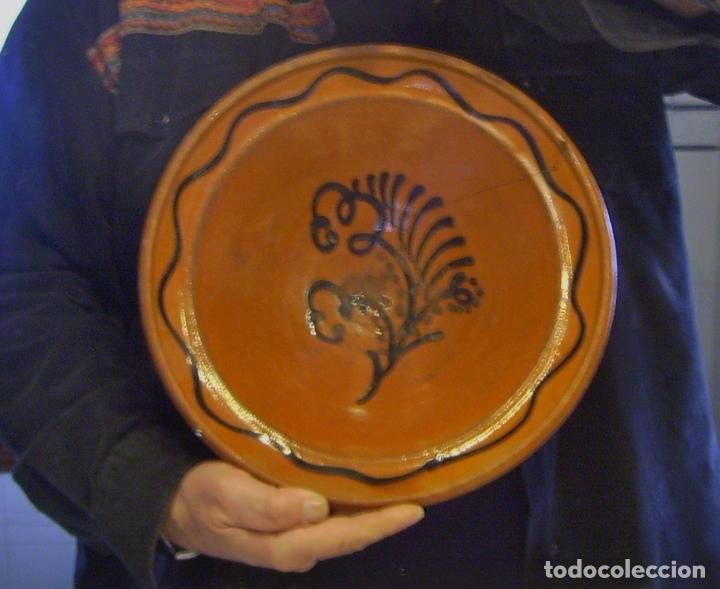 Antig&uuml;edades: PLATO  DE  TERRISSA  CATALANA  XIX - Foto 6