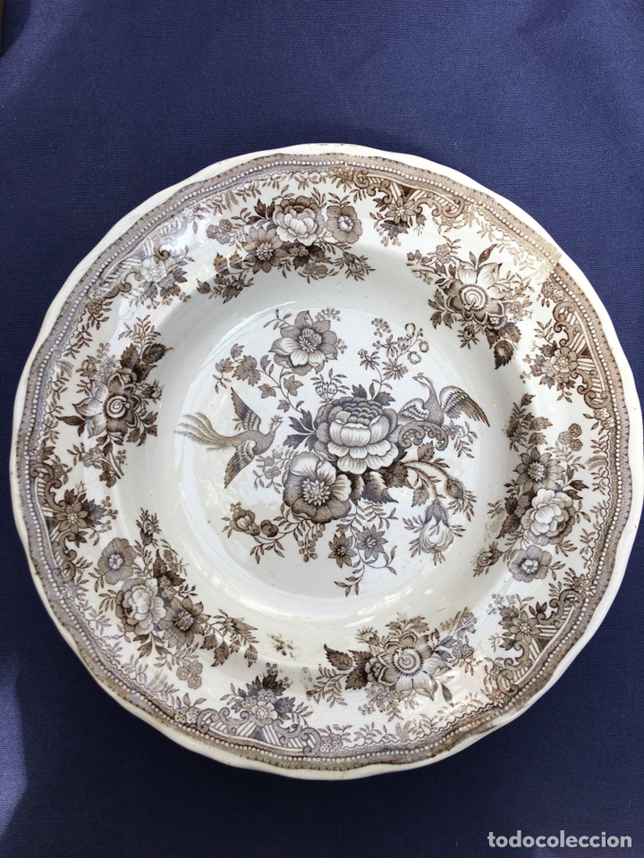 Antig&uuml;edades: Plato de cer&aacute;mica inglesa - Foto 1