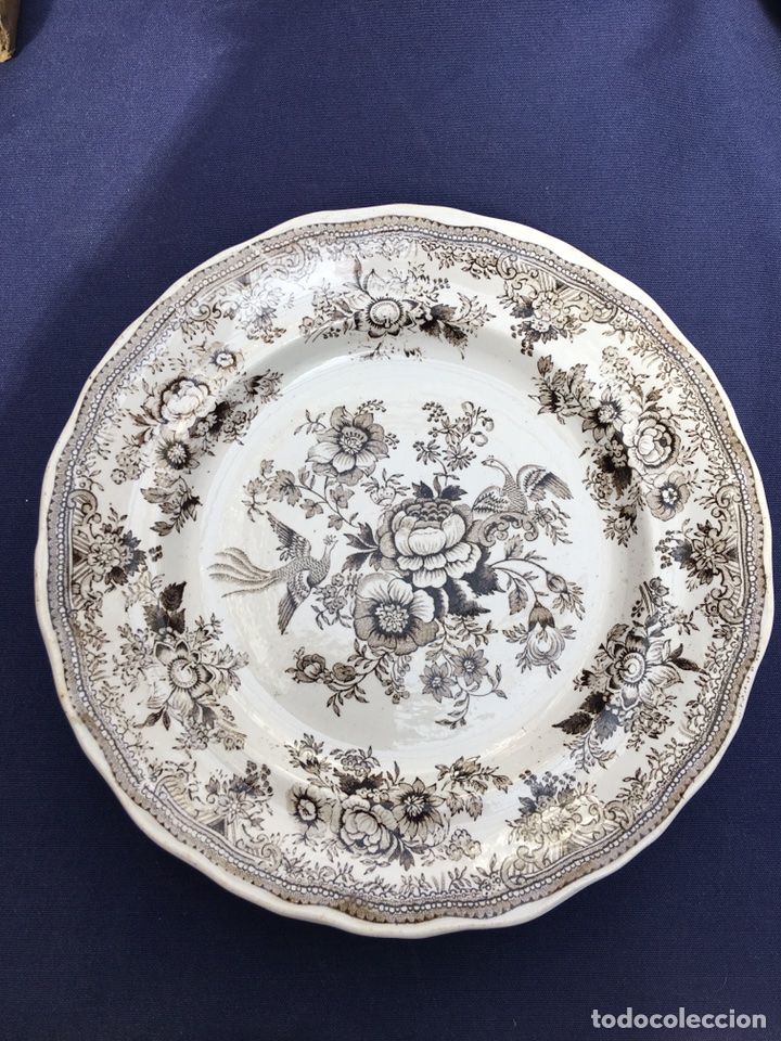 Antig&uuml;edades: Plato de cer&aacute;mica inglesa - Foto 1