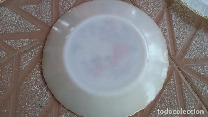 Antig&uuml;edades: JUEGO DE 5 PLATOS A ESTRENAR, TERMOCRISA - Foto 3