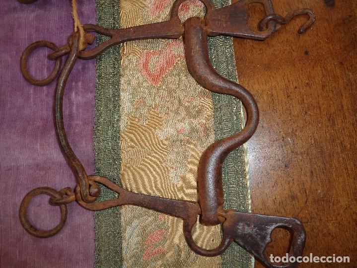 Antig&uuml;edades: BOCADO PARA CABALLO EN FORJA - Foto 5